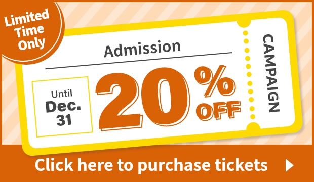 Limited Time Only Admission Until Dec. 31 20% OFF