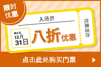 限时优惠 入场费 截止至12月31日 八折优惠