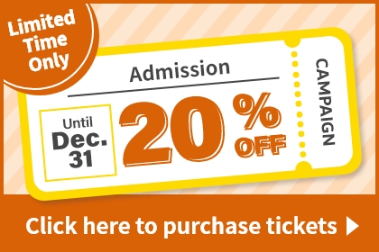 Limited Time Only Admission Until Dec. 31 20% OFF