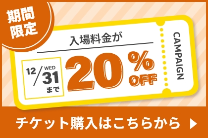 12/31（水）まで入場料金が20％OFF