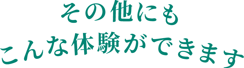 その他にもこんな体験ができます