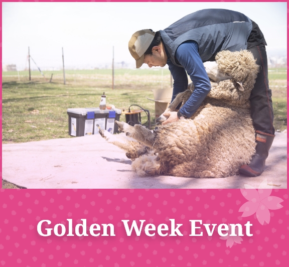 Golden Week Event