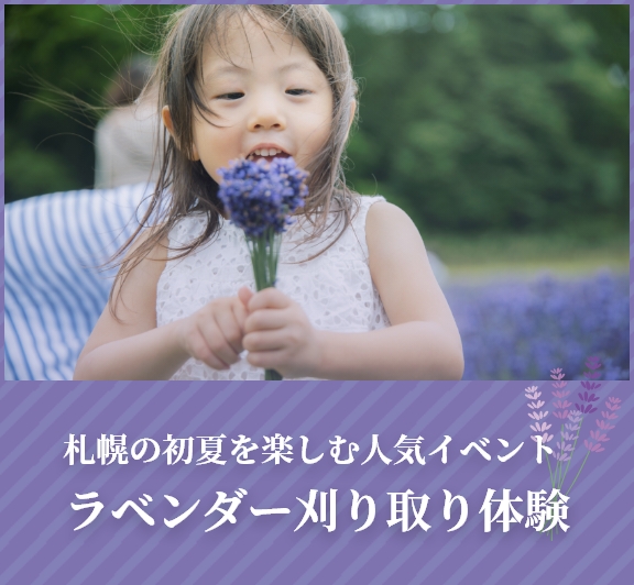 ラベンダー刈り取り体験