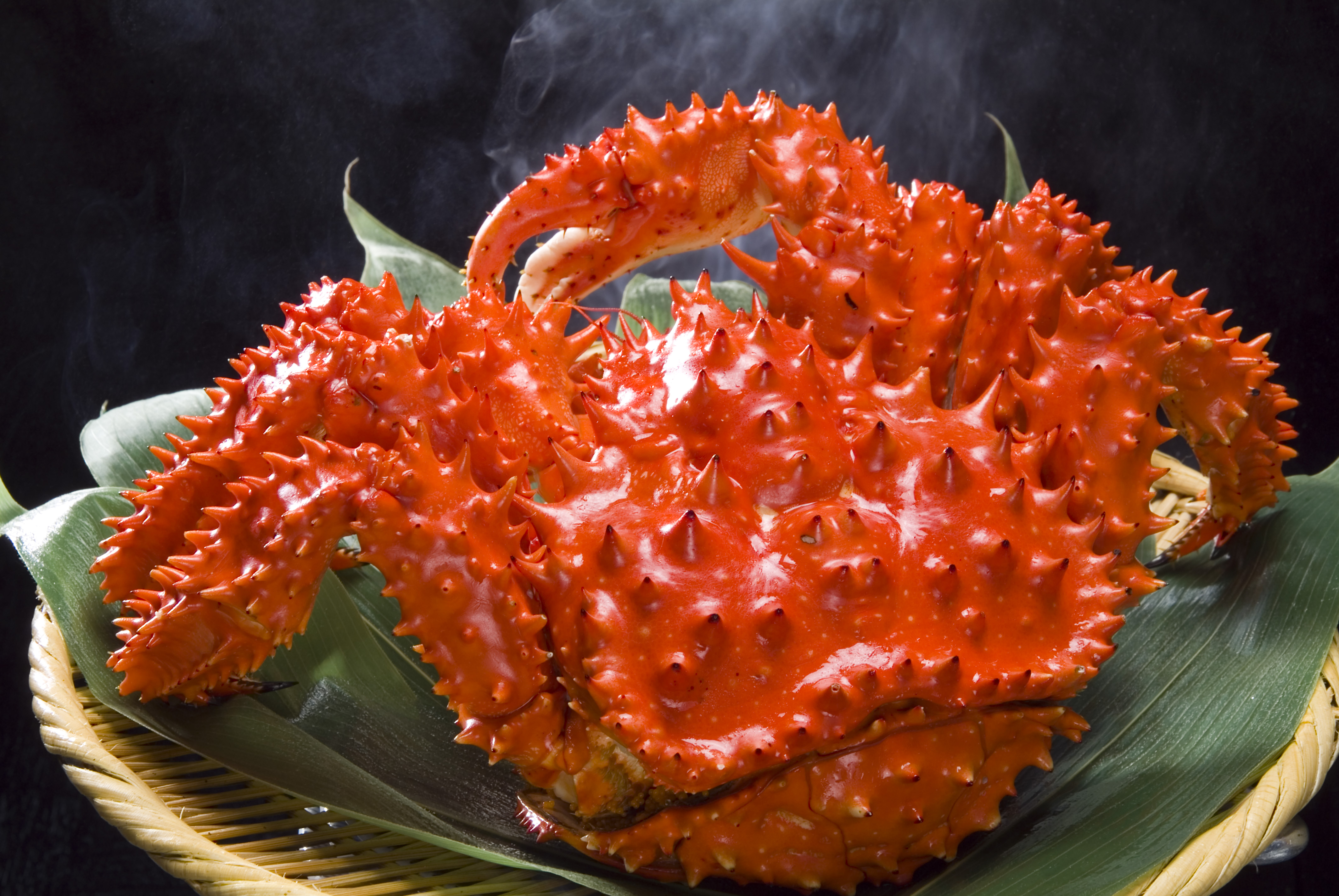 北海道うまいもの市～根室編～ | さっぽろ羊ヶ丘展望台公式WEBサイト