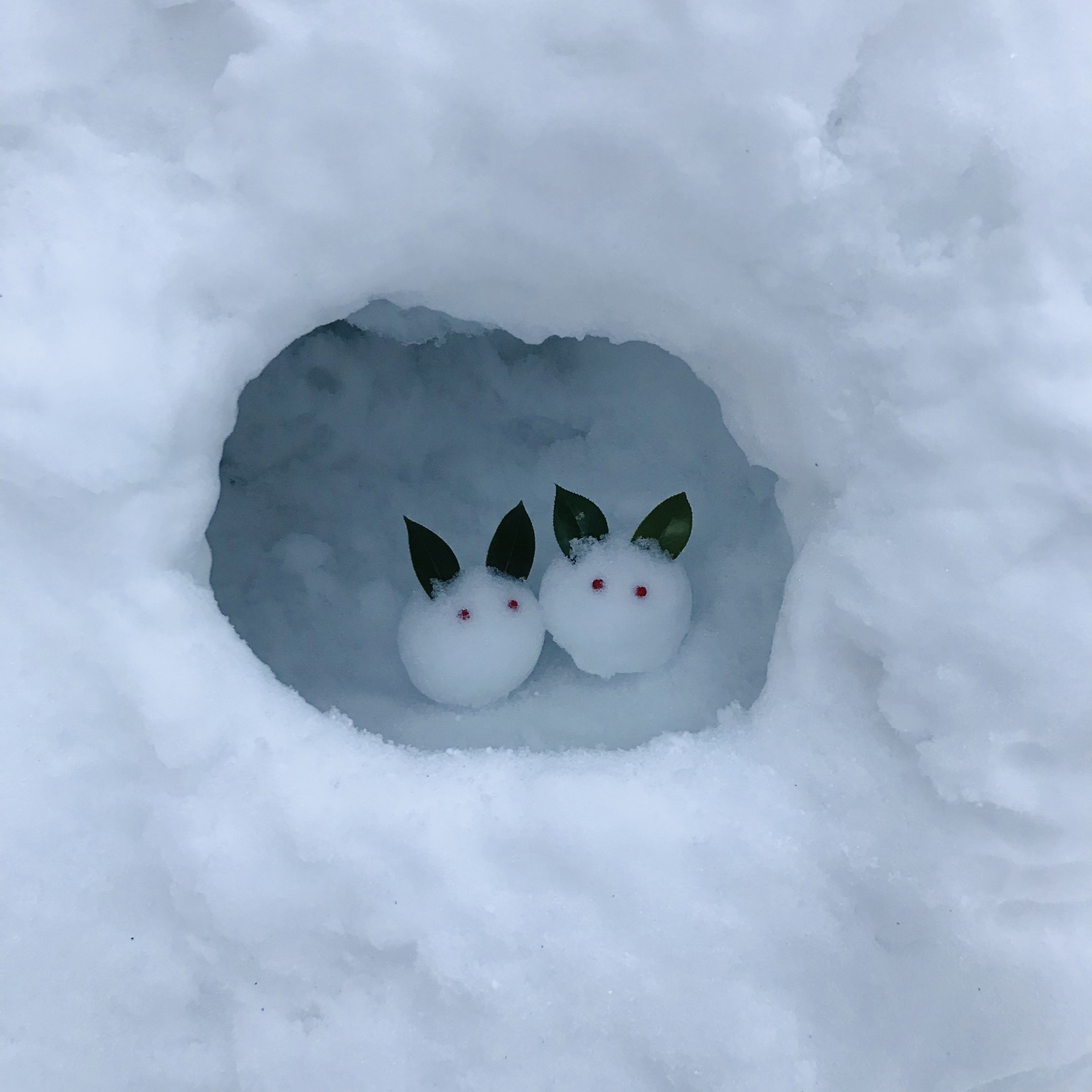 丸雪 かまくら | さっぽろ羊ヶ丘展望台公式WEBサイト